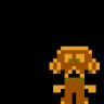 Nes guy